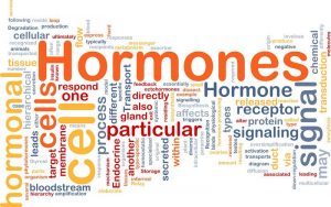 Read more about the article Hormon Dan Personaliti
