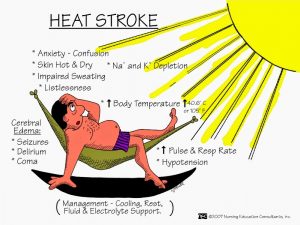 Read more about the article Stroke Haba (Heat Stroke)