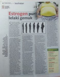 Read more about the article Estrogen Punca Lelaki Gemuk